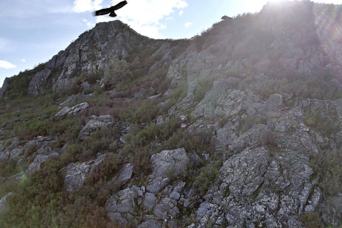 El Castillo