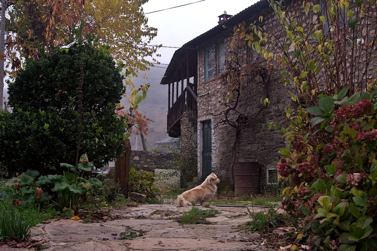 Calles de Rihonor