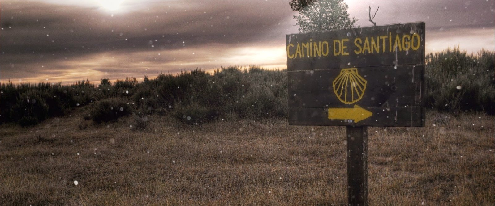 El Camino